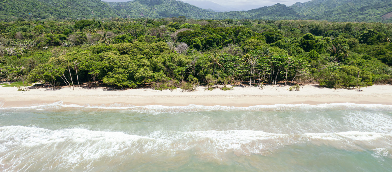 Playas de Palomino